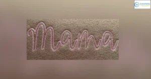 Chain Stitch Embroidery Services